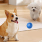 🔥Siste dag med tilbud: 50 % rabatt🐶 Automatisk, smart hundeball – bittbestandig, interaktivt treningsleketøy for hunder