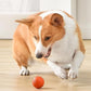 🔥Siste dag med tilbud: 50 % rabatt🐶 Automatisk, smart hundeball – bittbestandig, interaktivt treningsleketøy for hunder