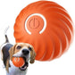 🔥Siste dag med tilbud: 50 % rabatt🐶 Automatisk, smart hundeball – bittbestandig, interaktivt treningsleketøy for hunder