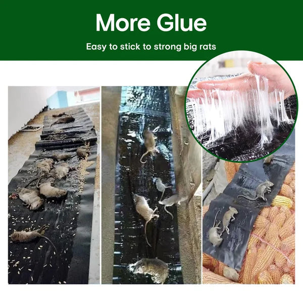 🔥Storsäljare🔥Kraftig klisterfälla av non-woven-tyg för möss i hemmet
