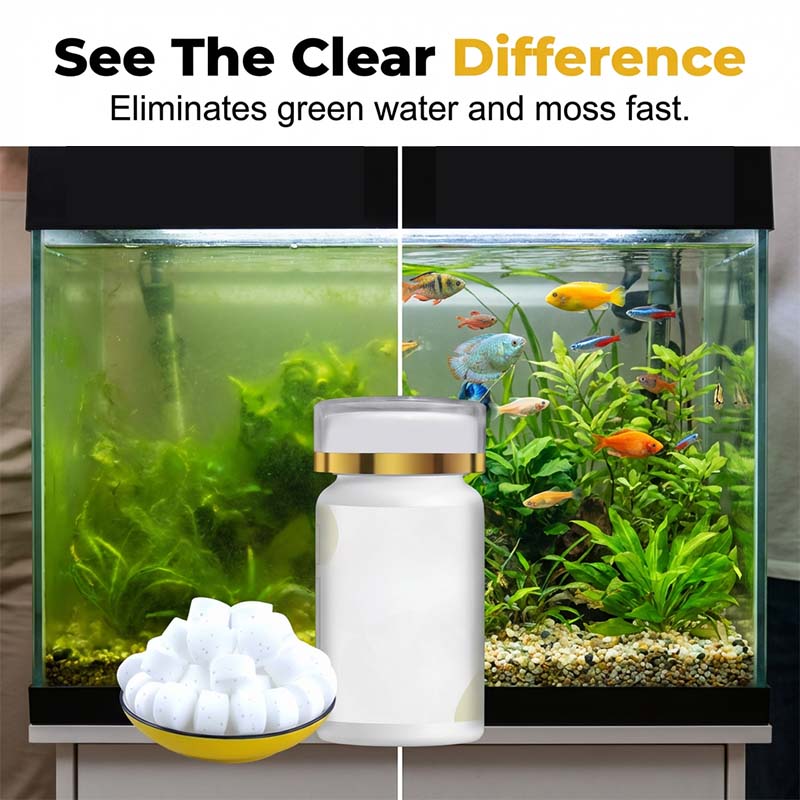 🐟 50% RABATT NU! 💧 Borttagare av Grönt Vatten & Mossa – Snabbverkande Algtabletter – Säkert för Fiskar & Klarhet 🌿