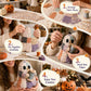 🔥SISTA DAGEN – 50 % RABATT🧵Little Ghosts mysiga Halloween-patchwork-kit att göra själv