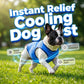🎉Nyhet! Begränsad tid - 50% rabatt⏰Cooling Dog Vest
