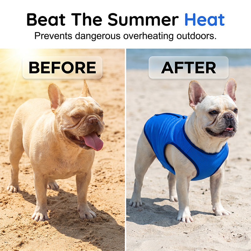 🎉Nyhet! Begränsad tid - 50% rabatt⏰Cooling Dog Vest