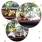 🐶 Søt hund-bobblehead – nikker i hver sving – 10 raser, myk plysj, gullkjede – sprer glede på hver biltur 🚗