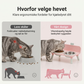 ⏳ Kun for en kort tid – 60 % RABATT ⏰Forhøyede avtakbare dobbeltskåler for kjæledyr