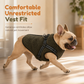 📢📢50 % RABATT NÅ!! ⏰Varm vinterjakke til hund med refleksbånd og sele for små og mellomstore hunder