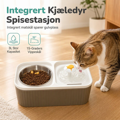 😺😽Automatisk katteføder og vannfontene 2-i-1 Blomsterformet dyrevann dispenser med dobbelskål, stor kapasitet