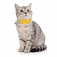 📢📢50 % rabatt！！！🐶Reflekterende kattehalsbånd med vanntett smart sporingsenhet for kjæledyr🐱