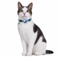 📢📢50 % rabatt！！！🐶Reflekterende kattehalsbånd med vanntett smart sporingsenhet for kjæledyr🐱