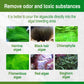 Moss Remover for Fish Tank
